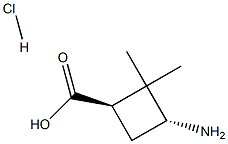 (1R,3R)-3-amino-2,2-dimethylcyclobutane-1-carboxylic acid hydrochloride
