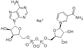 b-nicotinamideadeninedinucleotide*sodiumapprox