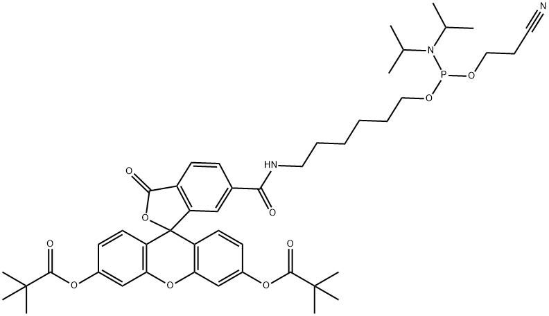 6-FAM-phosphoramidite