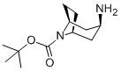 内-3-氨基-8-氮杂[3.2.1]辛烷-8-羧酸叔丁醇酯
