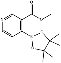 methyl 4-(4,4,5,5-tetramethyl-1,3,2-dioxaborolan-2-yl)pyridine-3-carboxylate