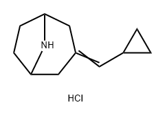 3-(环丙基亚甲基)-8-氮杂双环[3.2.1]辛烷盐酸盐