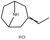 3-Ethylidene-8-azabicyclo[3.2.1]octane hydrochloride