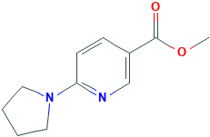METHYL 6-(1-PYRROLIDINYL)NICOTINATE