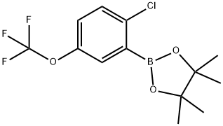 2-(2-氯-5-(三氟甲氧基)苯基)-4,4,5,5-四甲基-1,3,2-二氧硼烷