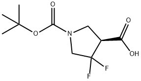 1,3-Pyrrolidinedicarboxylic acid, 4,4-difluoro-, 1-(1,1-dimethylethyl) ester, (3S)-