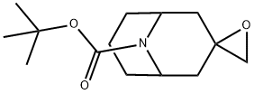 tert-butyl 9-azaspiro[bicyclo[3.3.1]nonane-3,2''-oxirane]-9-carboxylate