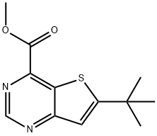 methyl 6-tert-butylthieno[3,2-d]pyrimidine-4-carboxylate