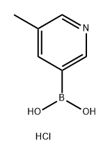 5-Methylpyridine-3-boronic acid hydrochloride