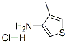 4-甲基噻吩-3-胺盐酸盐