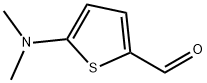 5-dimethylamino-2-thiophenecarboxaldehyde