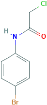 N-(4-溴苯基)-2-氯乙酰胺
