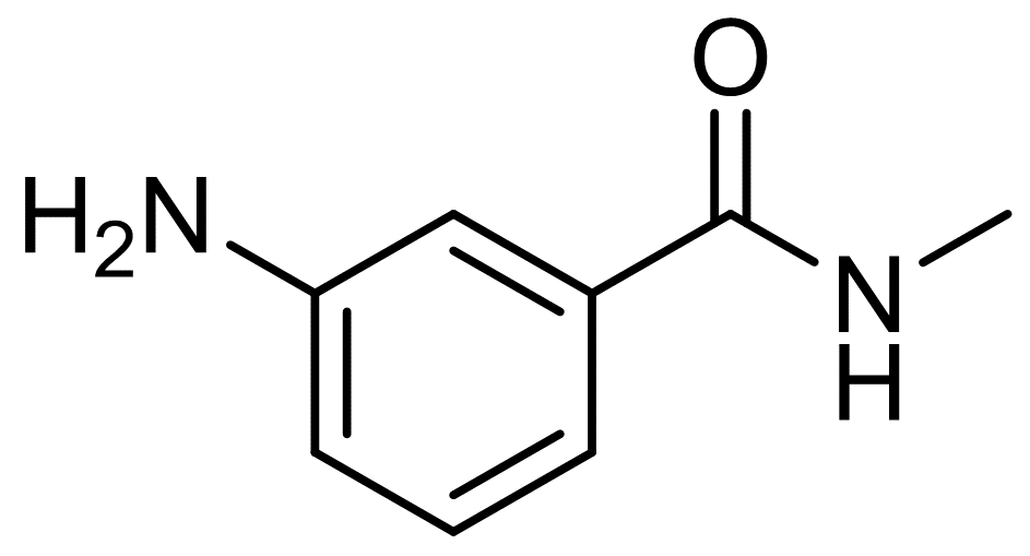 3-Aminobenzoylmethylamide