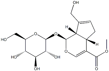 Cyclopenta[c]pyran-4-carboxylicacid, 1-(b-D-glucopyranosyloxy)-1,4a,5,7a-tetrahydro-7-(hydroxymethyl)-,methyl ester, [1S-(1a,4aa,7aa)]-
