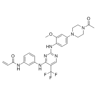 EGFR抑制剂(CO-1686)