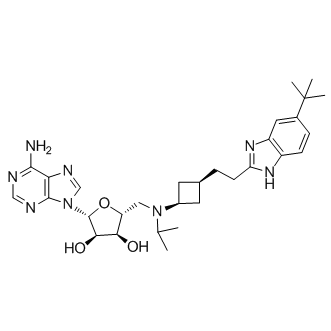 9-[5-脱氧-5-[[顺式-3-[2-[6-叔丁基-1H-苯并咪唑-2-基]乙基]环丁基](1-甲基乙基)氨基]-BETA-D-呋喃核糖基]-9H-嘌呤-6-胺