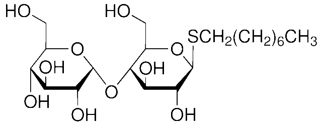 辛基 4-O-ALPHA-D-吡喃葡萄糖基-1-硫代-BETA-D-吡喃葡萄糖苷