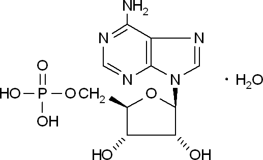 Adenosine 5-monophosphate monohydrate