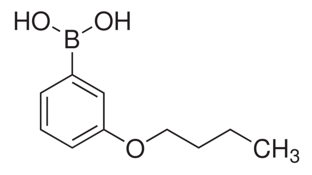 3-丁氧基苯硼酸