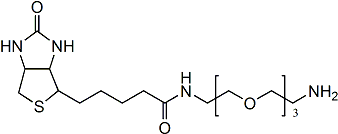 (+)-BIOTIN-PEG3-AMINE
