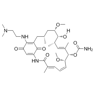 17-Demethoxy-17-[[2-(dimethylamino)ethyl]amino]geldanamycin