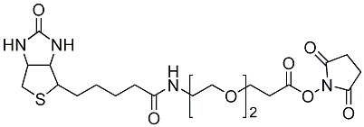 N-[2-[2-[3-[(2,5-Dioxo-1-pyrrolidinyl)oxy]-3-oxopropoxy]ethoxy]ethyl]hexahydro-2-oxo-1H-thieno[3,4-d]imidazole-4-pentanamide