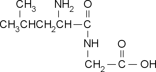亮氨酰氨基乙酸