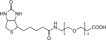 生物素-四聚乙二醇-羧酸