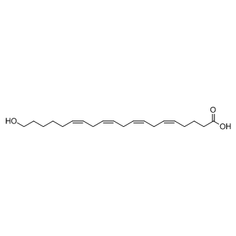 20-Hydroxyeicosa-5Z,8Z,11Z,14Z-tetraenoic acid