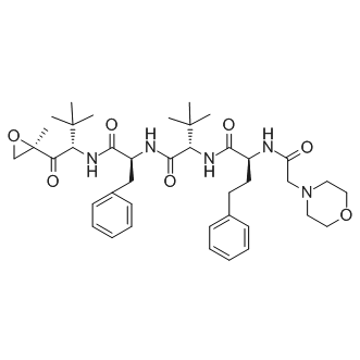 (S)-2-((S)-2-(2-(2H-1,4-oxazin-4(3H)-yl) acetamido)-4-phenylbutanamide)-4-methyl-N-((S)-1-((S)-4-methyl-1-((R)-2-methyl oxiran-2-yl)-1-oxopentan-2-ylamino)-1-oxo-3-phenylpropan-2-yl)pentanamide