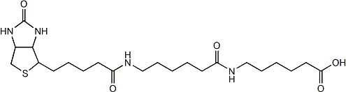 LC-LC(+)-Biotin