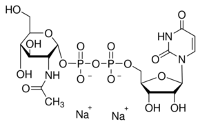 尿苷-5′-二磷酸-N-乙酰基-葡糖胺钠盐