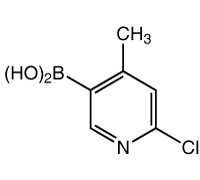 6-氯-4-甲基吡啶-3-硼酸