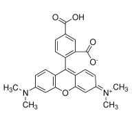 3-carboxy-4-[6-(dimethylamino)-3-(dimethyliminio)-3H-xanthen-9-yl]benzoate