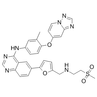 6-[5-[[[2-(Methylsulfonyl)ethyl]amino]methyl]-2-furanyl]-N-[3-methyl-4-([1,2,4]triazolo[1,5-a]pyridin-7-yloxy)phenyl]-4-quinazolinamine
