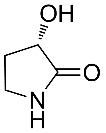 2-Pyrrolidinone, 3-hydroxy-, (3S)-