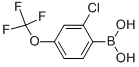 (2-氯-4-(三氟甲氧基)苯基)硼酸