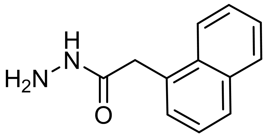 NAPHTHALEN-1-YL-ACETIC ACID HYDRAZIDE