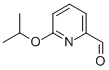 6-异丙氧基皮考林醛