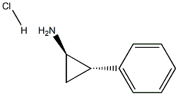 (+)-Tranylcypromine and  (-)-Tranylcypromine
