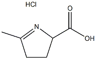 5-甲基-3,4-二氢-2H-2-吡咯甲酸盐酸盐