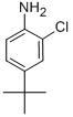 Benzenamine, 2-chloro-4-(1,1-dimethylethyl)-