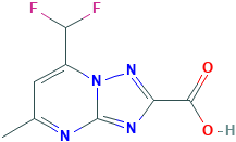 7-(二氟甲基)-5-甲基-[1,2,4]三唑并[1,5-a]嘧啶-2-羧酸