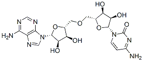 腺苷酰-(3'-5')-胞苷