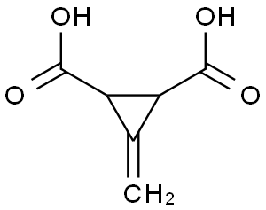 3-Methylenecyclopropane-Trans-1,2-Dicarboxylic Acid