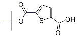 5-(叔丁氧基羰基)噻吩-2-羧酸