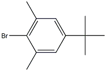 2-Bromo-1,3-dimethyl-5-(2-methyl-2-propanyl)benzene