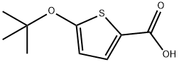 5-tert-Butoxythiophene-2-carboxylic acid