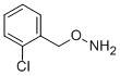 O-(2-chlorobenzyl)hydroxylamine