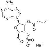 2'-O-单丁酰基环 AMP(钠)
